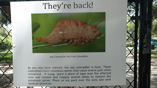 Community Center «Burns Road Recreation Center», reviews and photos, 4404 Burns Rd, Palm Beach Gardens, FL 33410, USA