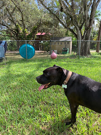 Tri-Star Pet - Photo 4 - Car repair in Indiantown, FL, Port St. Lucie