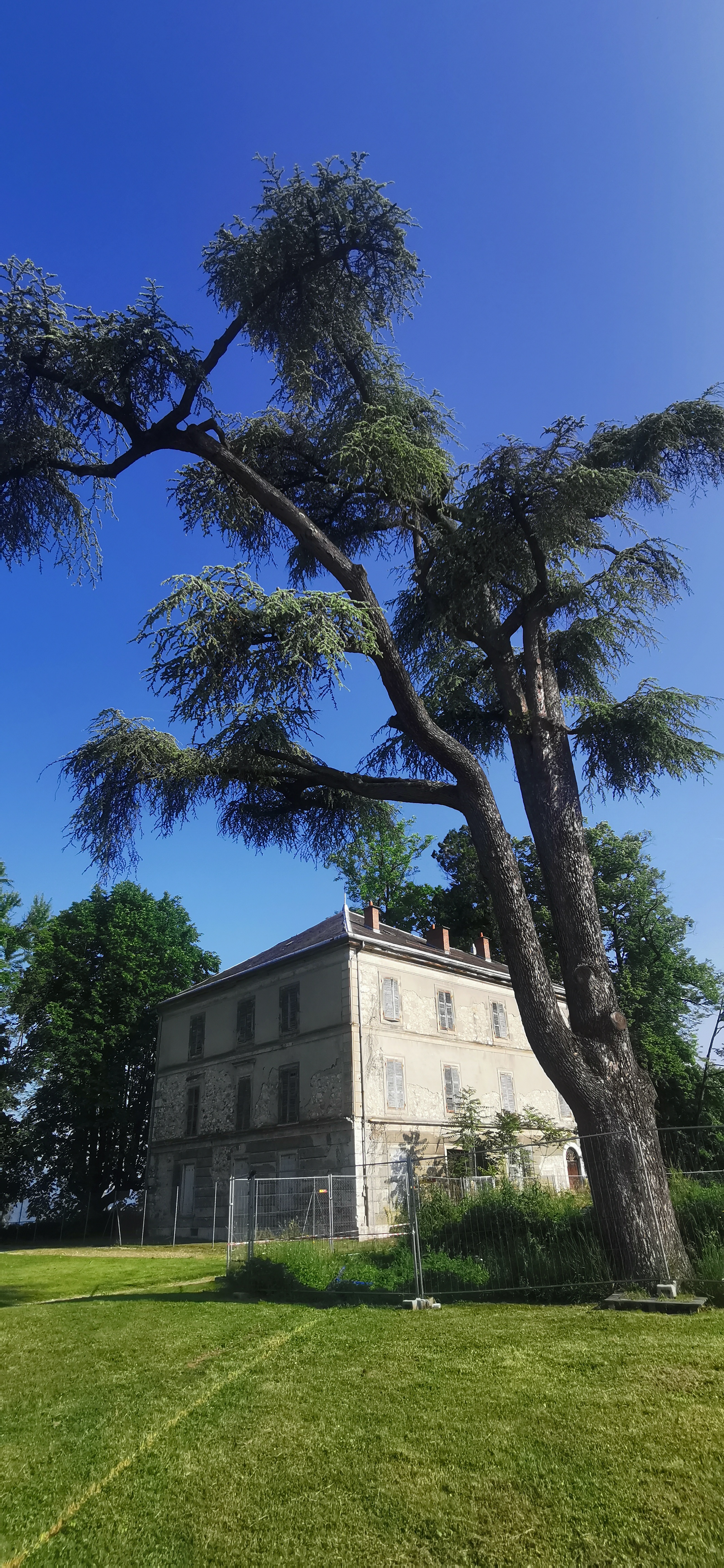 Photo n° 2 de l'avis de Martine.A fait le 30/05/2019 à 08:02