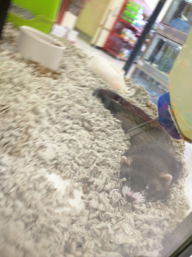 Pet Supply Store «Petco Animal Supplies», reviews and photos, 1624 Governors Square Blvd, Tallahassee, FL 32301, USA