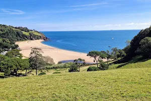 Blackpool Sands image