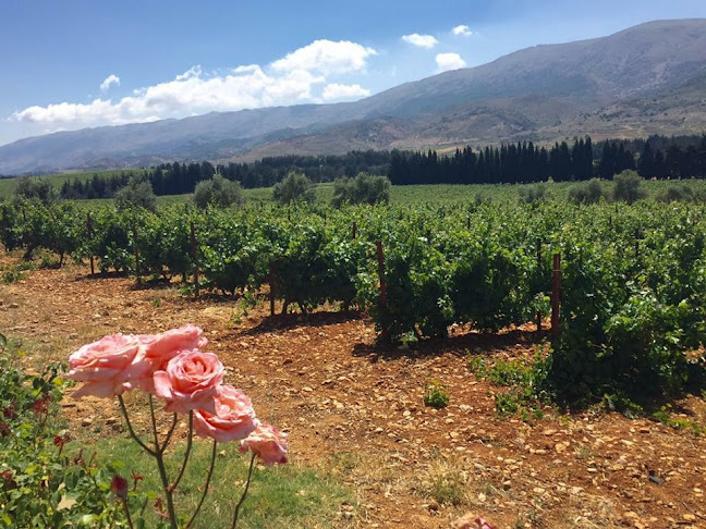 Rezensionen über S.A.M.E. SA - Vins du Liban et Produits Orientaux in Nyon - Supermarkt