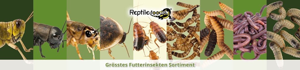 Reptile Food.ch GmbH