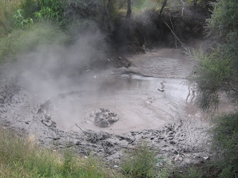 Kuirau Park - Mud Pools