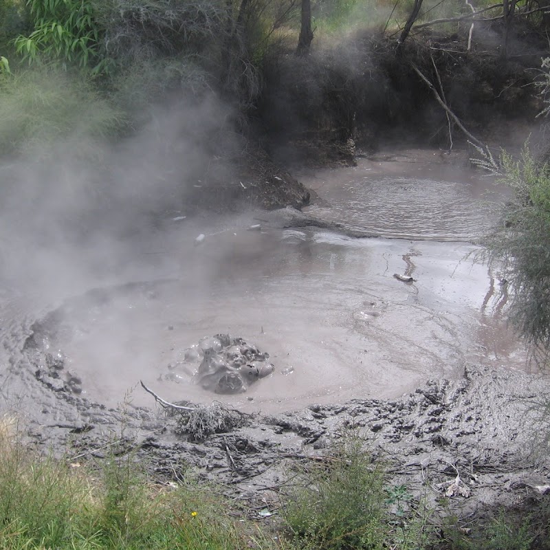 Kuirau Park - Mud Pools