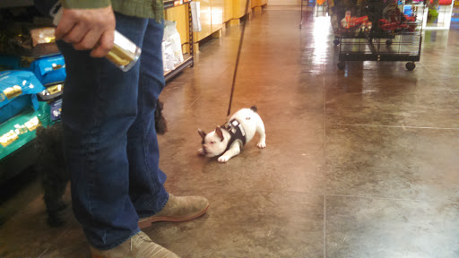 Pet Supply Store «Bow Wow & Meow», reviews and photos, 11607 Maumelle Blvd, North Little Rock, AR 72113, USA