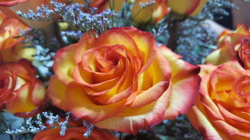 Florist «Floral Boutique», reviews and photos, 13 N 5th St, Stroudsburg, PA 18360, USA