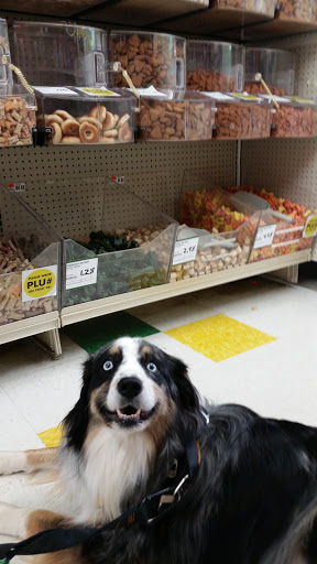 Pet Supply Store «Pet Supplies Plus», reviews and photos, 1240 Seminole Trail, Charlottesville, VA 22901, USA