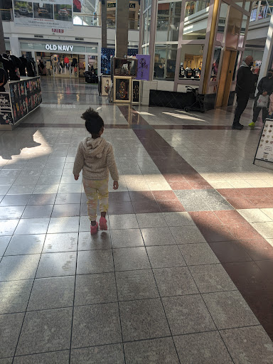 Shopping Mall «Lincolnwood Town Center», reviews and photos, 3333 Touhy Ave, Lincolnwood, IL 60712, USA