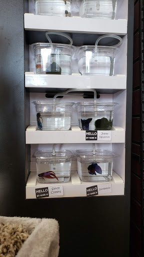 Pet Store «Pet Valu», reviews and photos, 55 Wanaque Ave Unit 4, Pompton Lakes, NJ 07442, USA