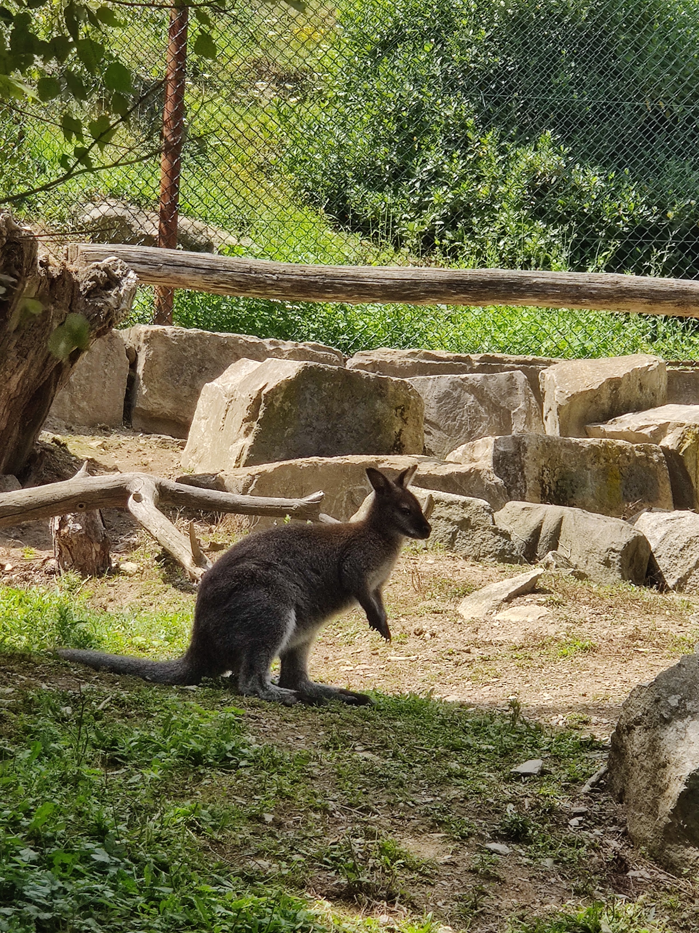 Photo n° 4 de l'avis de Emilie.a fait le 06/08/2023 à 13:12