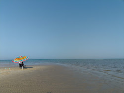 Photo de Sir Bani Yas beach zone sauvage