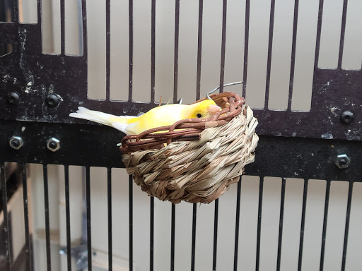 Pet Supply Store «PetSmart», reviews and photos, 3081 S 5600 W, Salt Lake City, UT 84120, USA