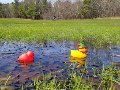 Golf Course «Bangor Municipal Golf Course», reviews and photos, 278 Webster Ave, Bangor, ME 04401, USA