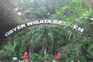 Objek Wisata Sangeh image