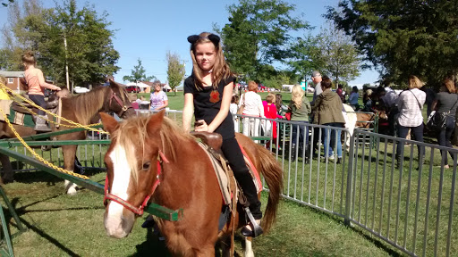 Park «Keehner park», reviews and photos, 7411 Barret Rd, West Chester Township, OH 45069, USA