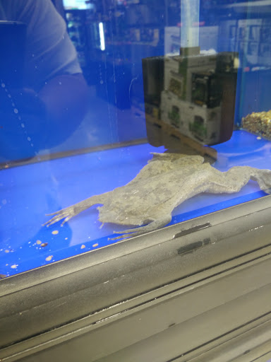 Pet Store «Super Pets», reviews and photos, 1807 E Chapman Ave, Orange, CA 92867, USA