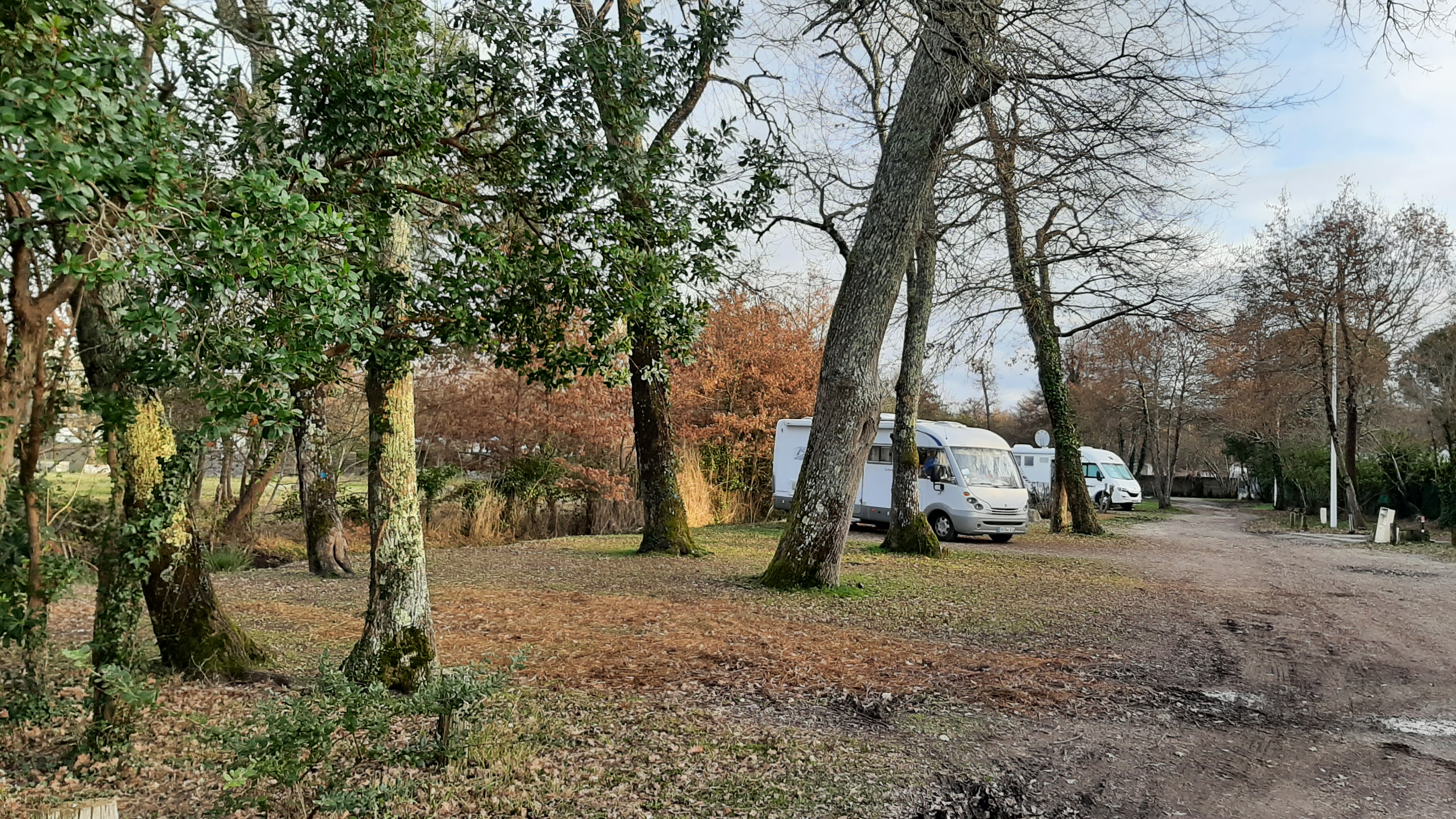 Photo n° 3 de l'avis de Raymond.e fait le 24/02/2022 à 17:23