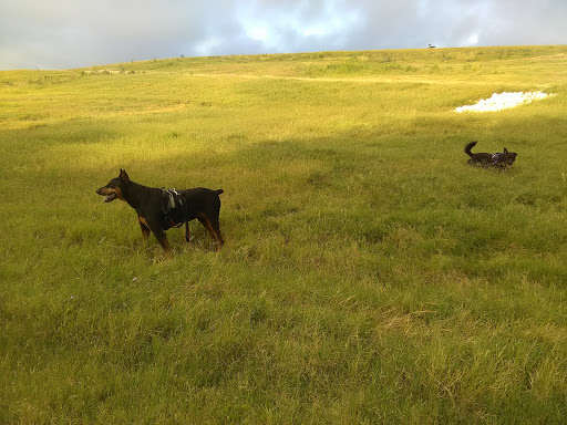 Park «Pearsall Park», reviews and photos, 4838 Old Pearsall Rd, San Antonio, TX 78242, USA