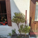 Photo n°1 de l'avis de Johann.a fait le 01/09/2023 à 14:06 sur le  Jazz Caffè à Sedico