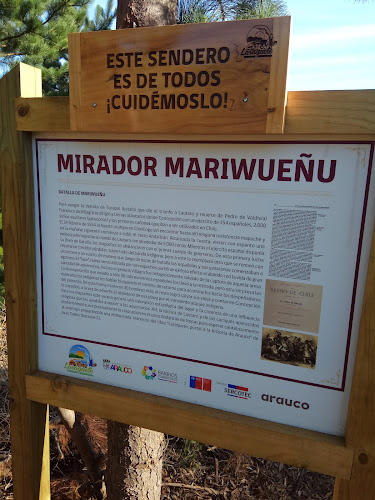 Comentarios y opiniones de Mirador del sendero Marrihueñu Laraquete