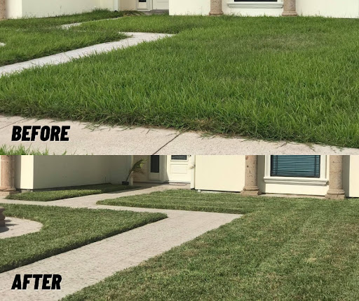 Lawn care service Brownsville