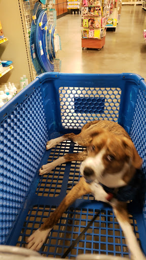 Pet Supply Store «PetSmart», reviews and photos, 2784 Wilma Rudolph Blvd, Clarksville, TN 37040, USA
