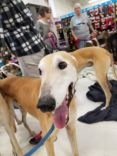 Pet Supply Store «Petco Animal Supplies», reviews and photos, 2277 Ford Pkwy, St Paul, MN 55116, USA