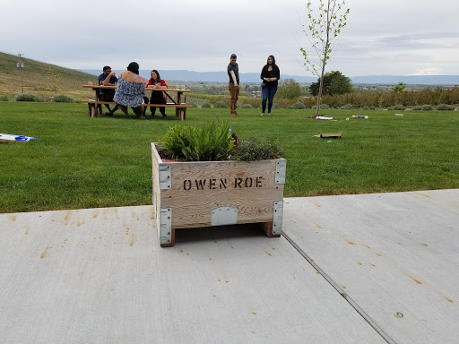 Winery «Owen Roe», reviews and photos, 309 Gangl Rd, Wapato, WA 98951, USA