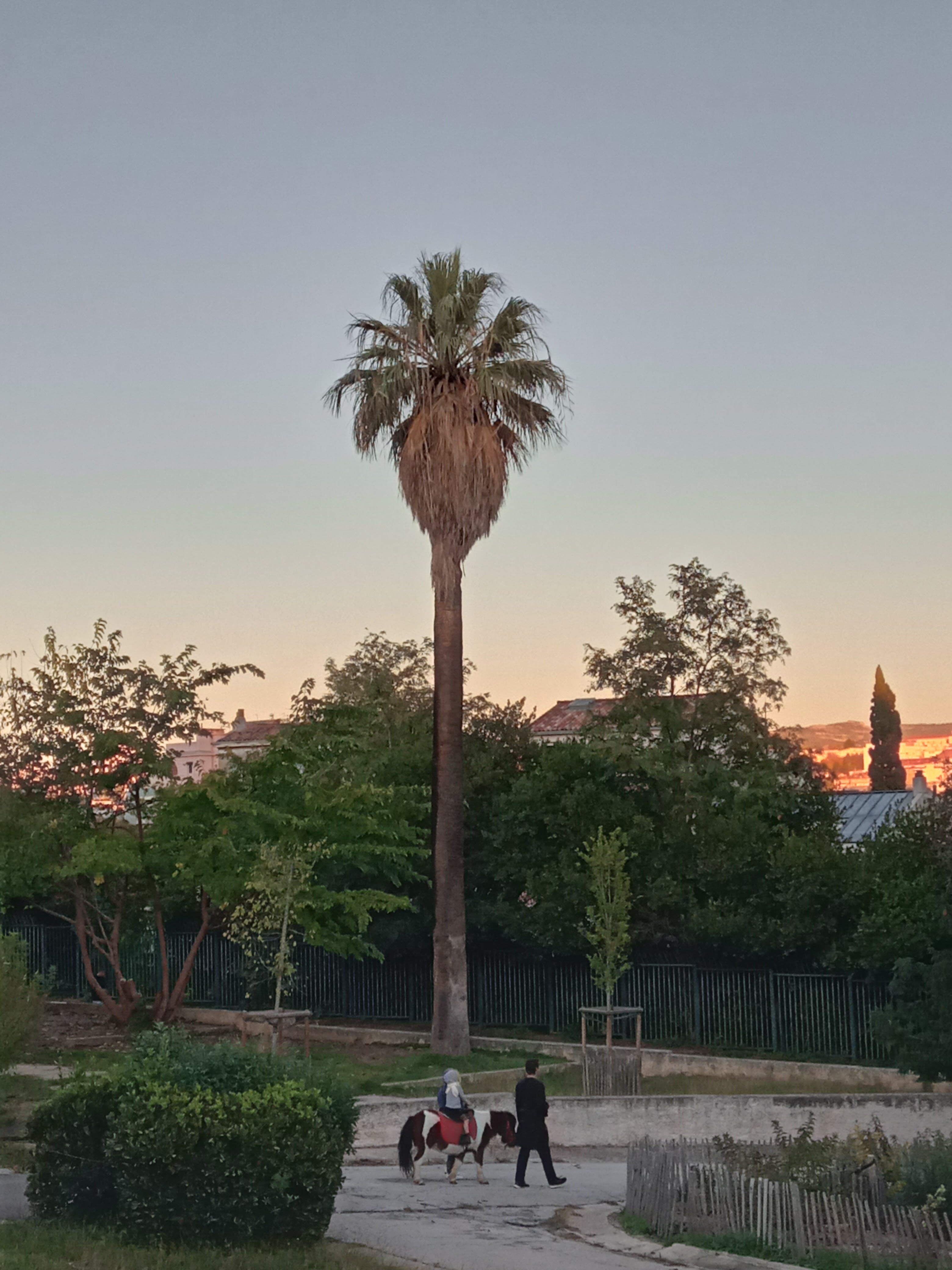 Photo n° 3 de l'avis de Lili.e fait le 05/11/2021 à 16:54