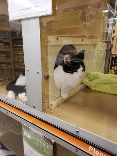 Pet Supply Store «PetSmart», reviews and photos, 156 Old Little Britain Rd, Newburgh, NY 12550, USA