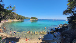 Spiaggia della Paolina'in fotoğrafı kısmen tatil bölgesi