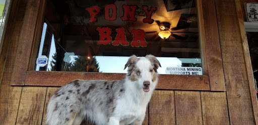Pony Bar