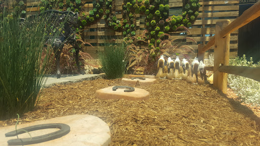 Fairground «Del Mar Fairgrounds», reviews and photos, 2260 Jimmy Durante Blvd, Del Mar, CA 92014, USA