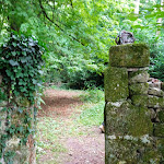 Photo n° 16 de l'avis de Monique.o fait le 06/08/2023 à 18:47 pour Château des Ducs à Mortemart