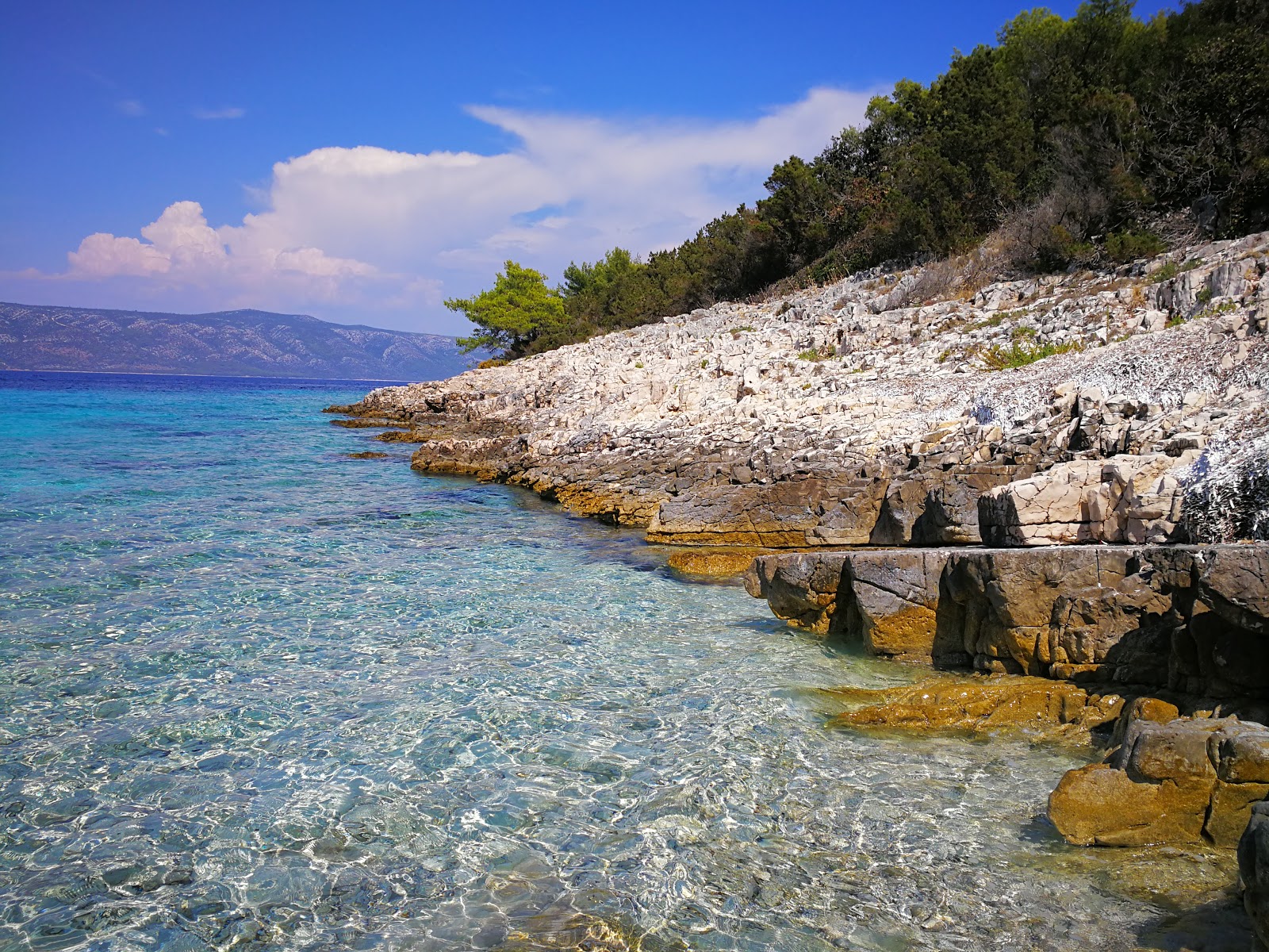 Φωτογραφία του Uvala Nova Posta με μικρός κόλπος