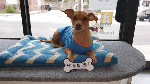 Pet Supply Store «Benny and Jack», reviews and photos, 577 Kingstown Rd, South Kingstown, RI 02879, USA