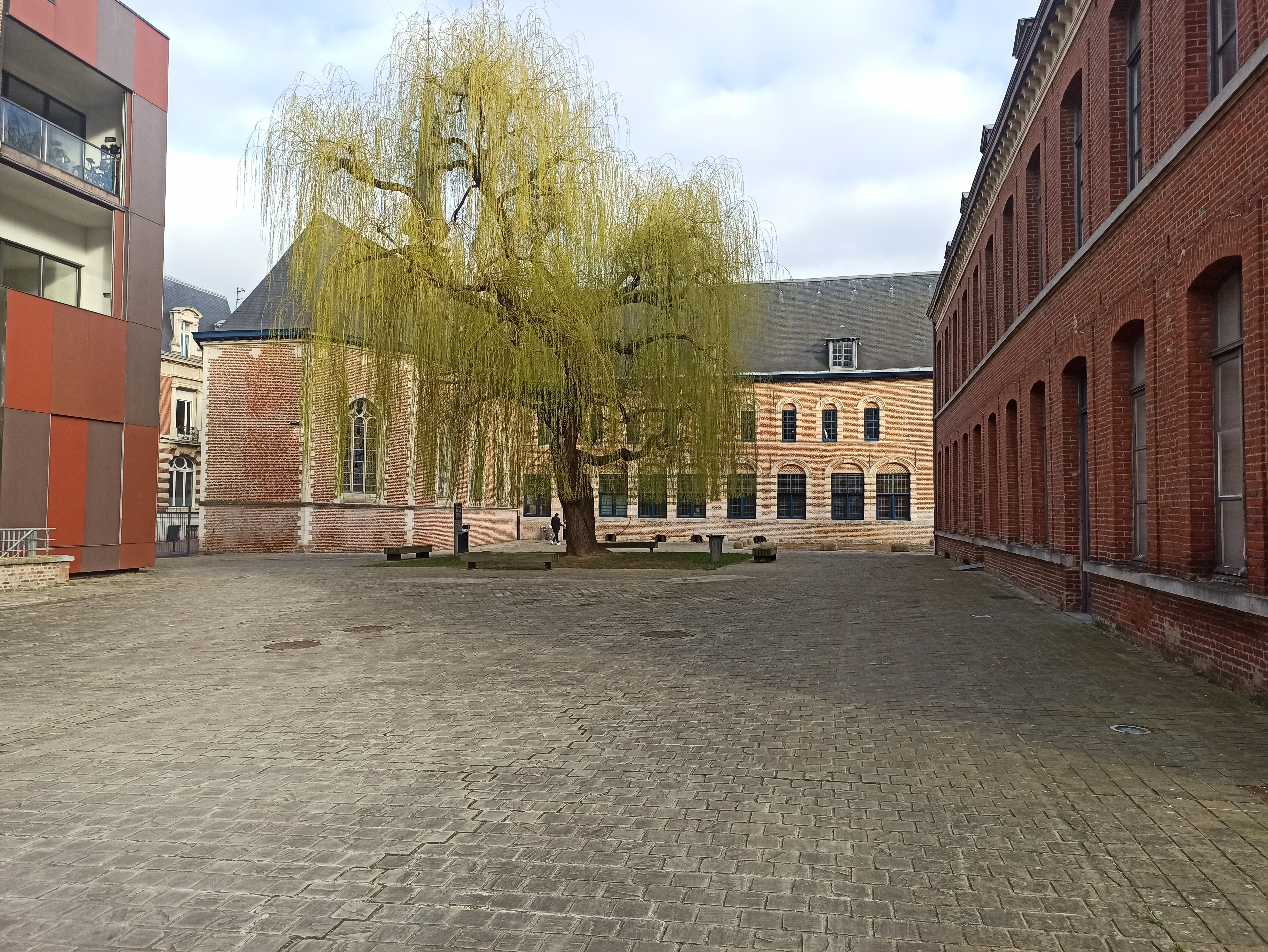 Photo n° 24 de l'avis de Johannes.o fait le 20/03/2023 à 22:02