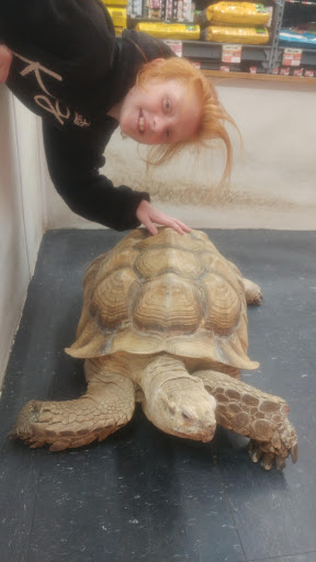 Pet Store «Pets Plus», reviews and photos, 151 Lincoln Hwy, Fairless Hills, PA 19030, USA