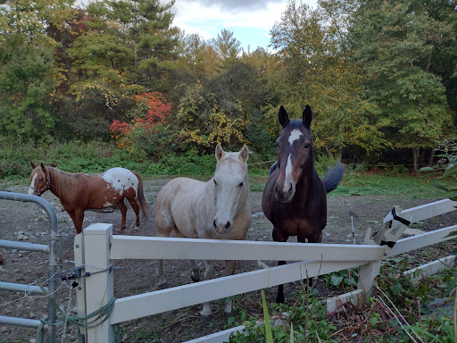 State Park «Dighton Rock State Park», reviews and photos, Bayview Ave, Berkley, MA 02779, USA