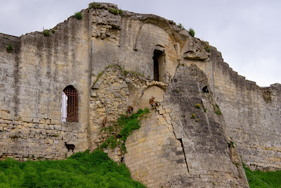 A la rencontre des chèvres à Coucy-le-Château-Auffrique