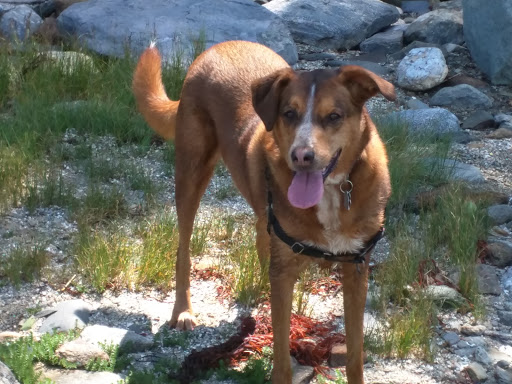 Nature Preserve «Littlejohn Island Preserve», reviews and photos, Pemasong Ln, Yarmouth, ME 04096, USA