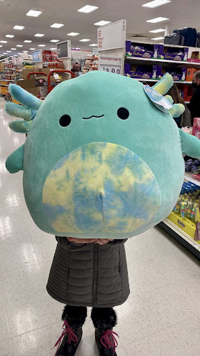 Department Store «Target», reviews and photos, 197 Gravois Bluffs Plaza Dr, Fenton, MO 63026, USA