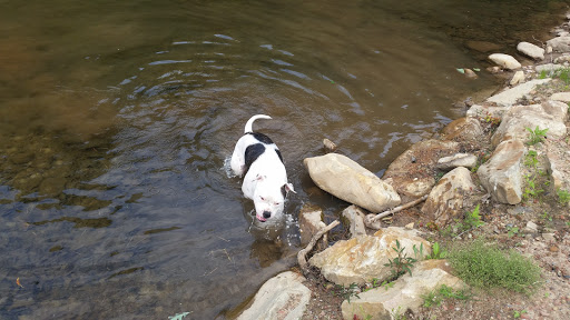 Park «Lykens Glen Park», reviews and photos, 706 Park View Rd, Lykens, PA 17048, USA