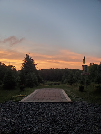 Outdoor Sports Store «Maple Hill Disc Golf», reviews and photos, 132 Marshall St, Leicester, MA 01524, USA