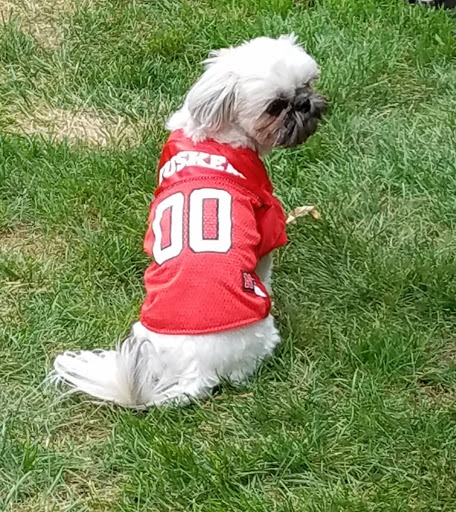 Pet Supply Store «Petco Animal Supplies», reviews and photos, 3430 W State St, Grand Island, NE 68803, USA