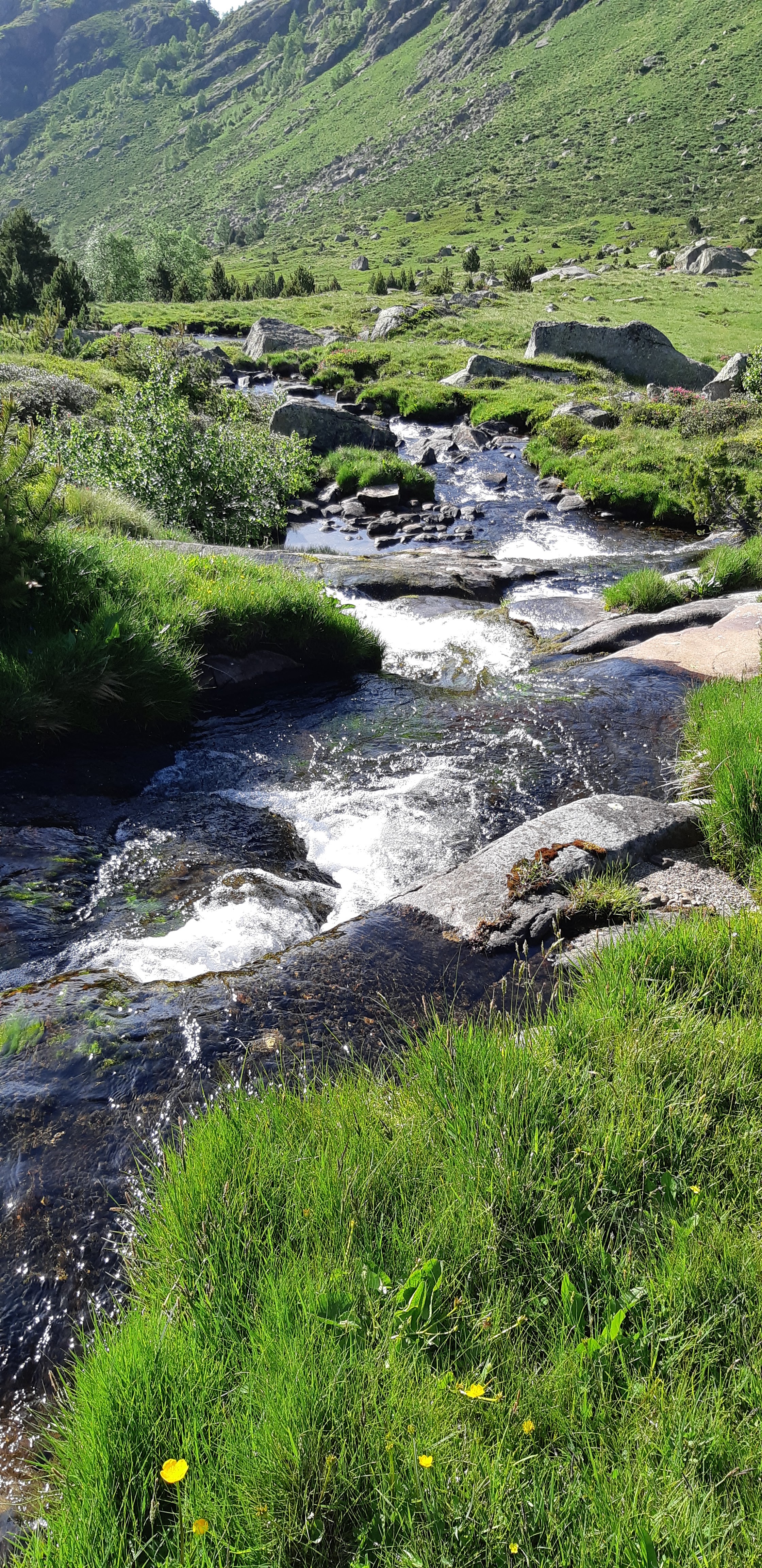 Photo n° 28 de l'avis de Yannick.a fait le 10/07/2019 à 09:58