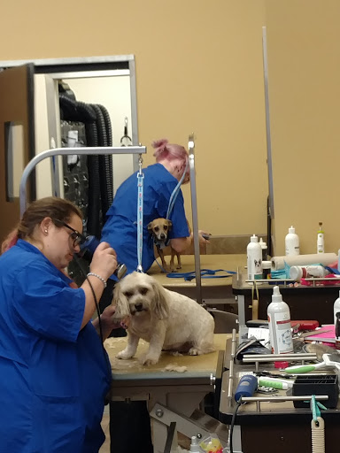 Pet Supply Store «PetSmart», reviews and photos, 10401 US-441, Leesburg, FL 34788, USA