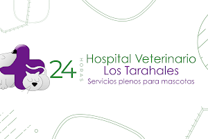 Hospital Veterinario Los Tarahales image