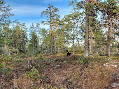 Nordhue Treningsterreng